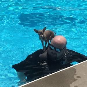 Meet your Posher, Pat